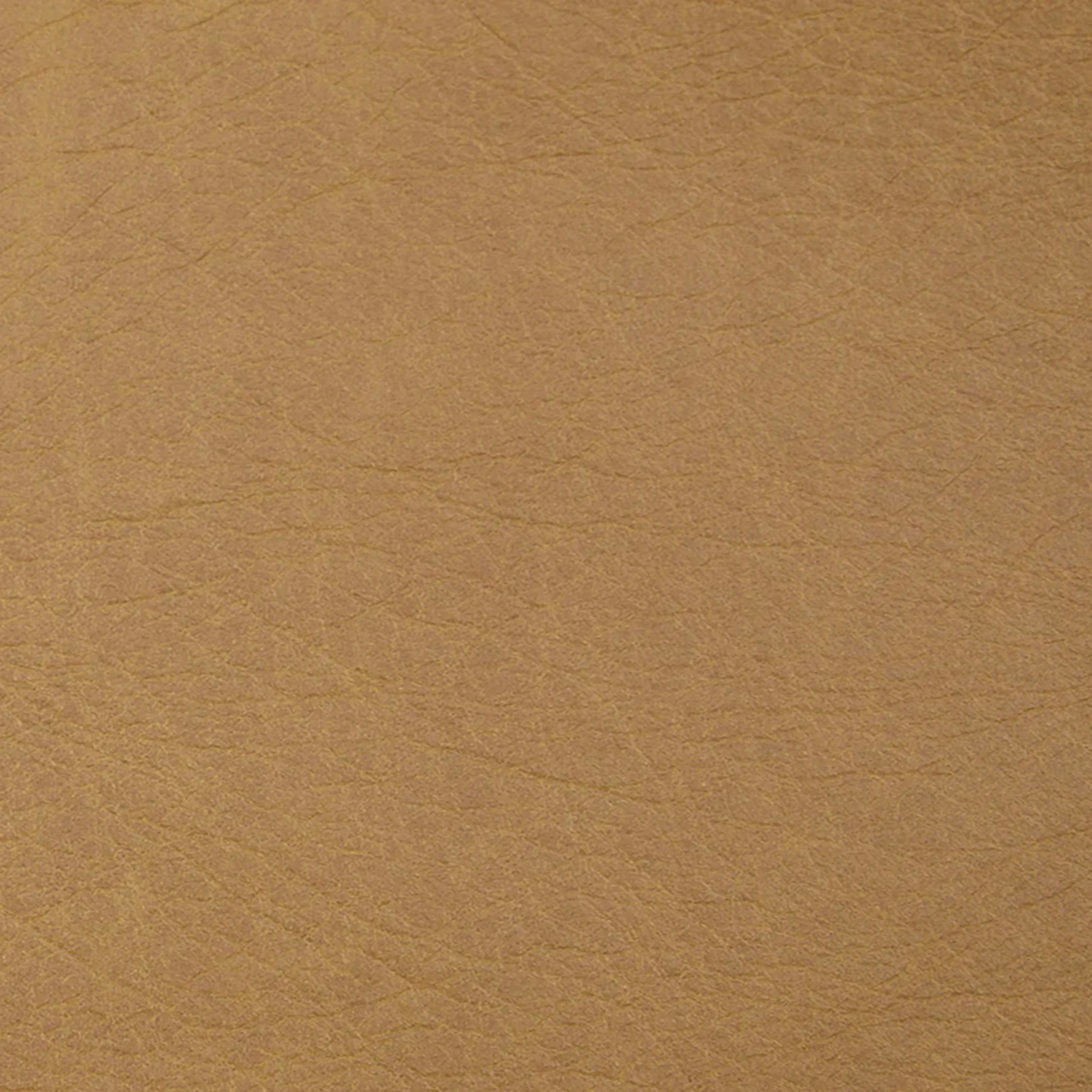 Gerven Leather Office Chair - Charme Tan - Image 5