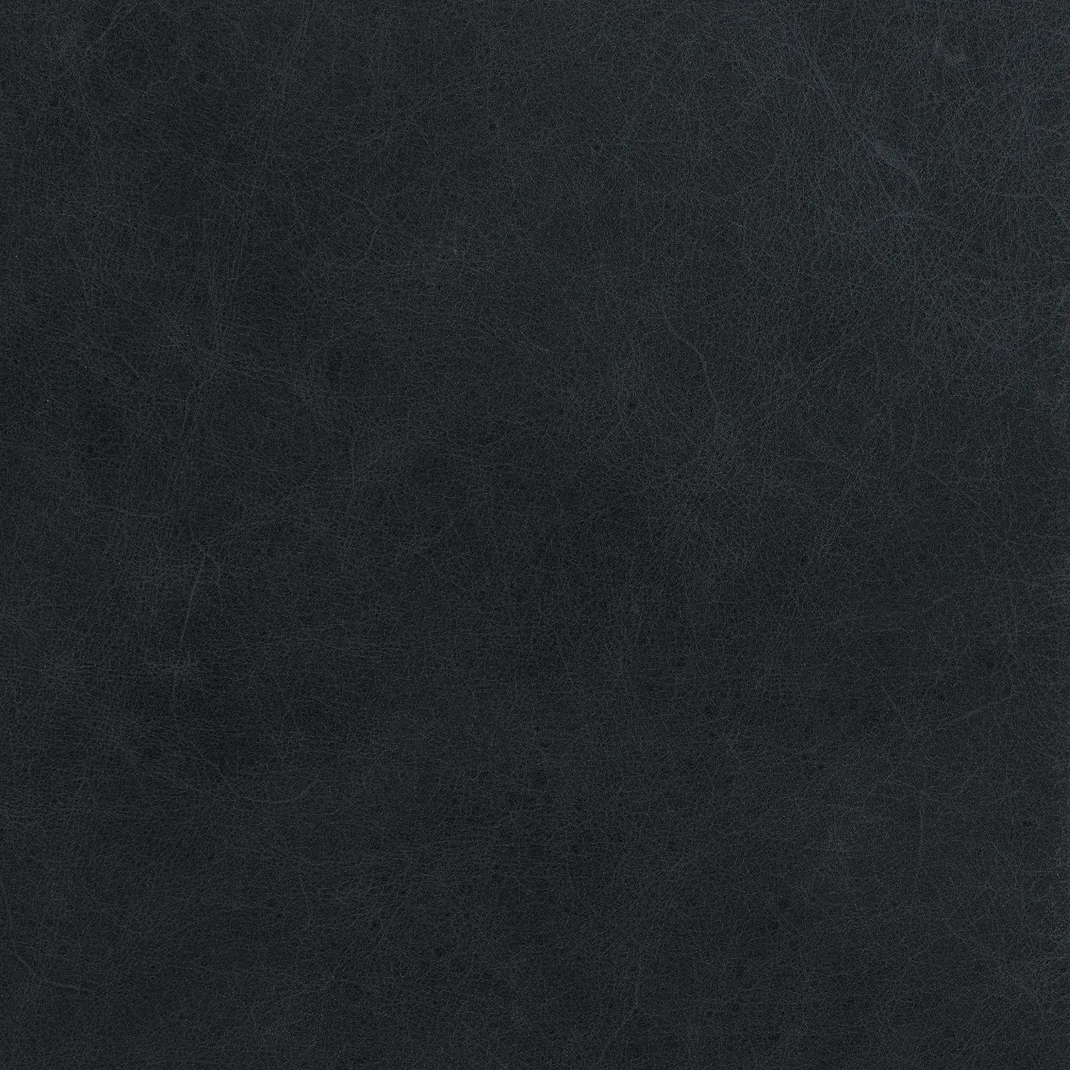 Ripa 59_ Leather Bench - Oxford Black - Image 3