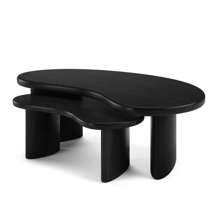 Neah 49_ Nesting Coffee Table Set - Black