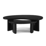 Neah 49_ Nesting Coffee Table Set - Black