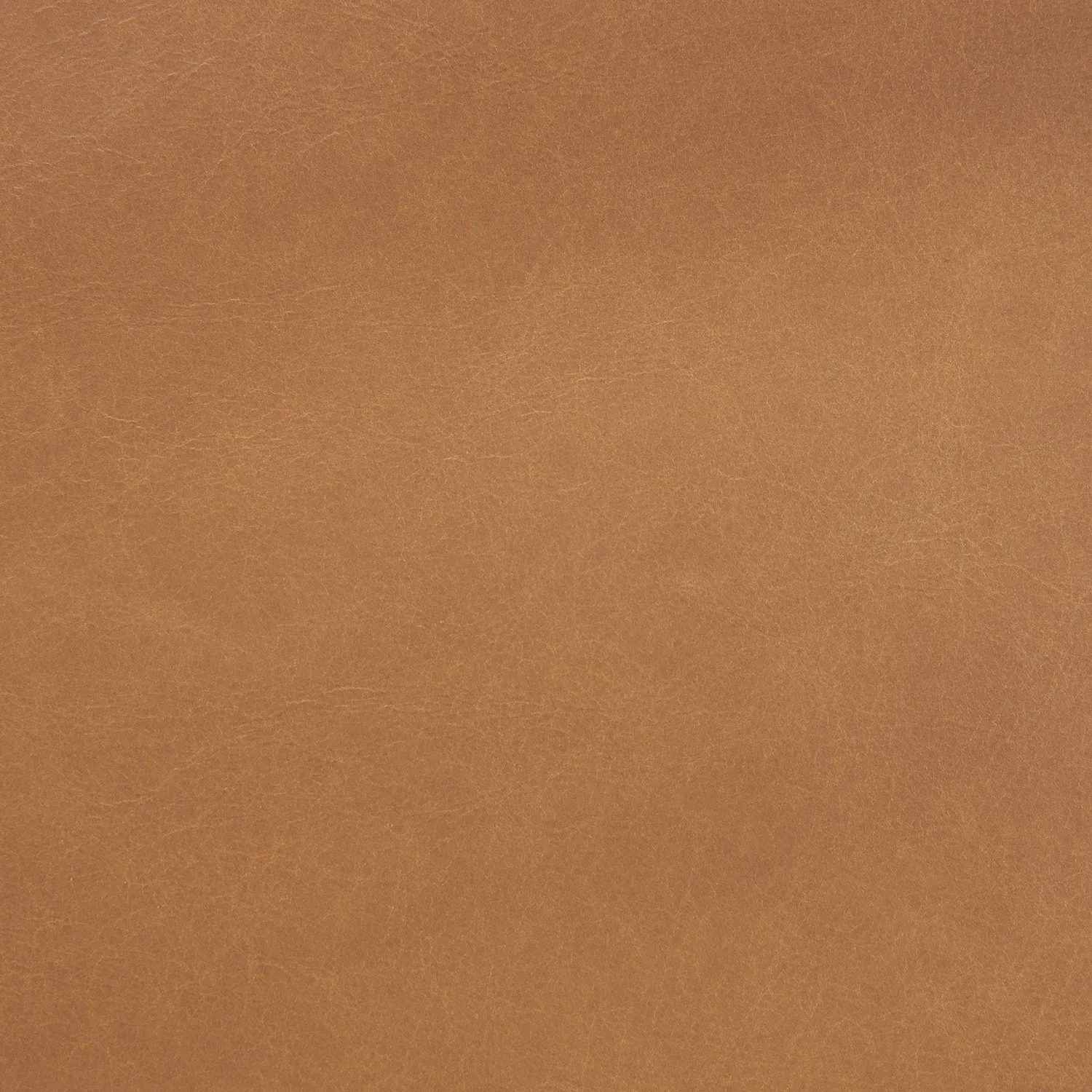 Ripa 59_ Leather Bench - Charme Tan - Image 8