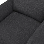 Leigh 42_ Lounge Chair - Napa Charcoal