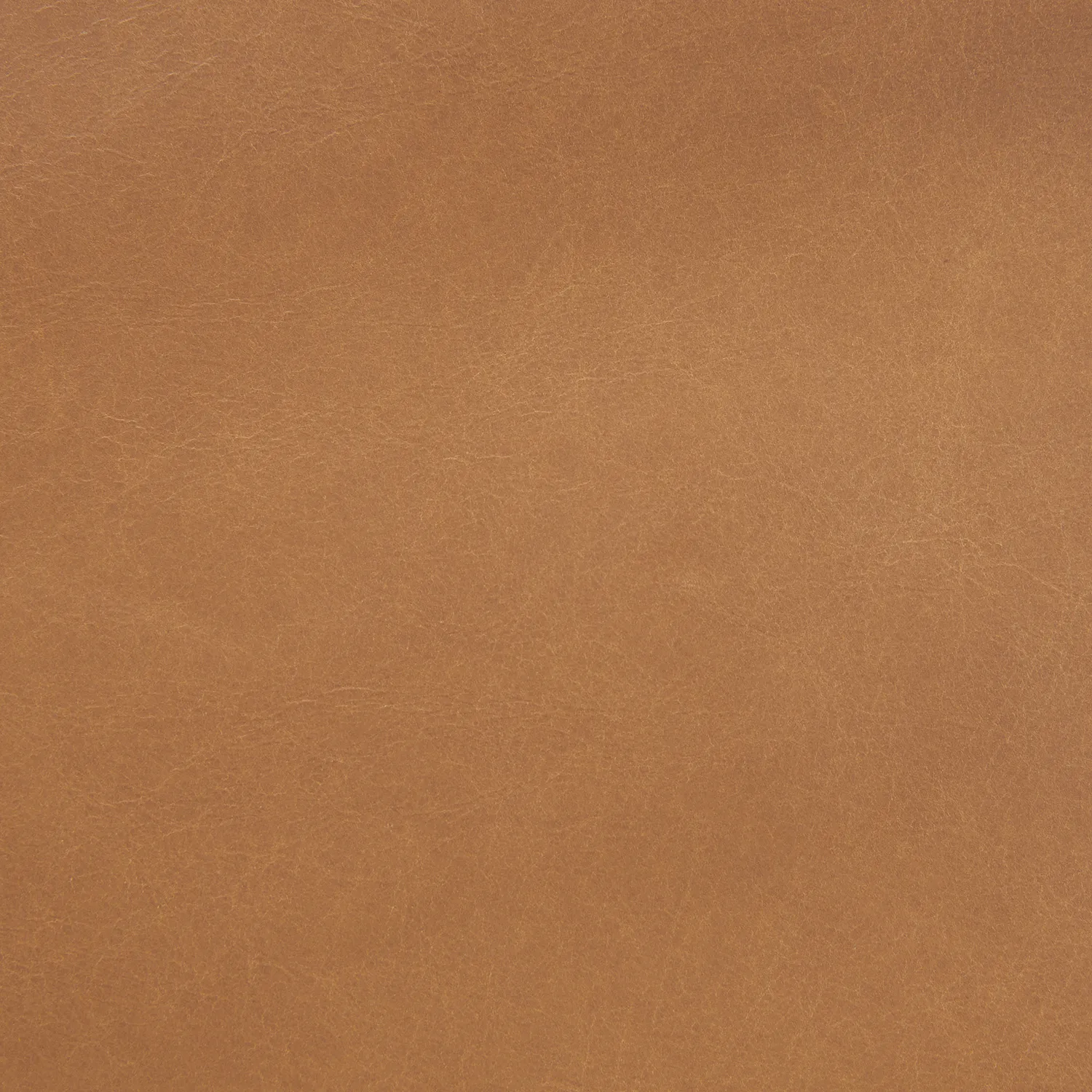 Ansa 54_ Leather Bench - Charme Tan - Image 11