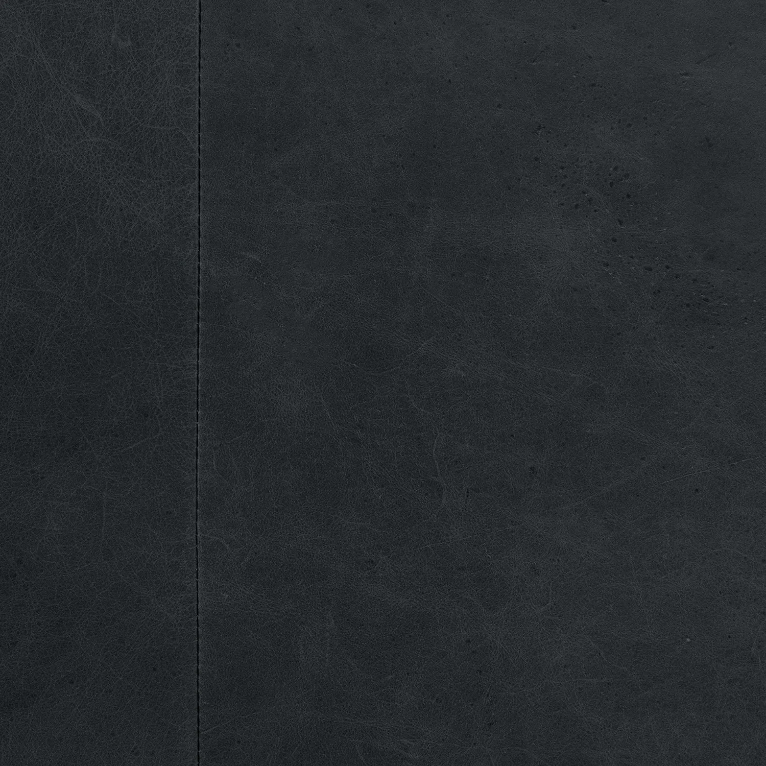 Nord 29_ Leather Lounge Chair - Charme Black - Image 4