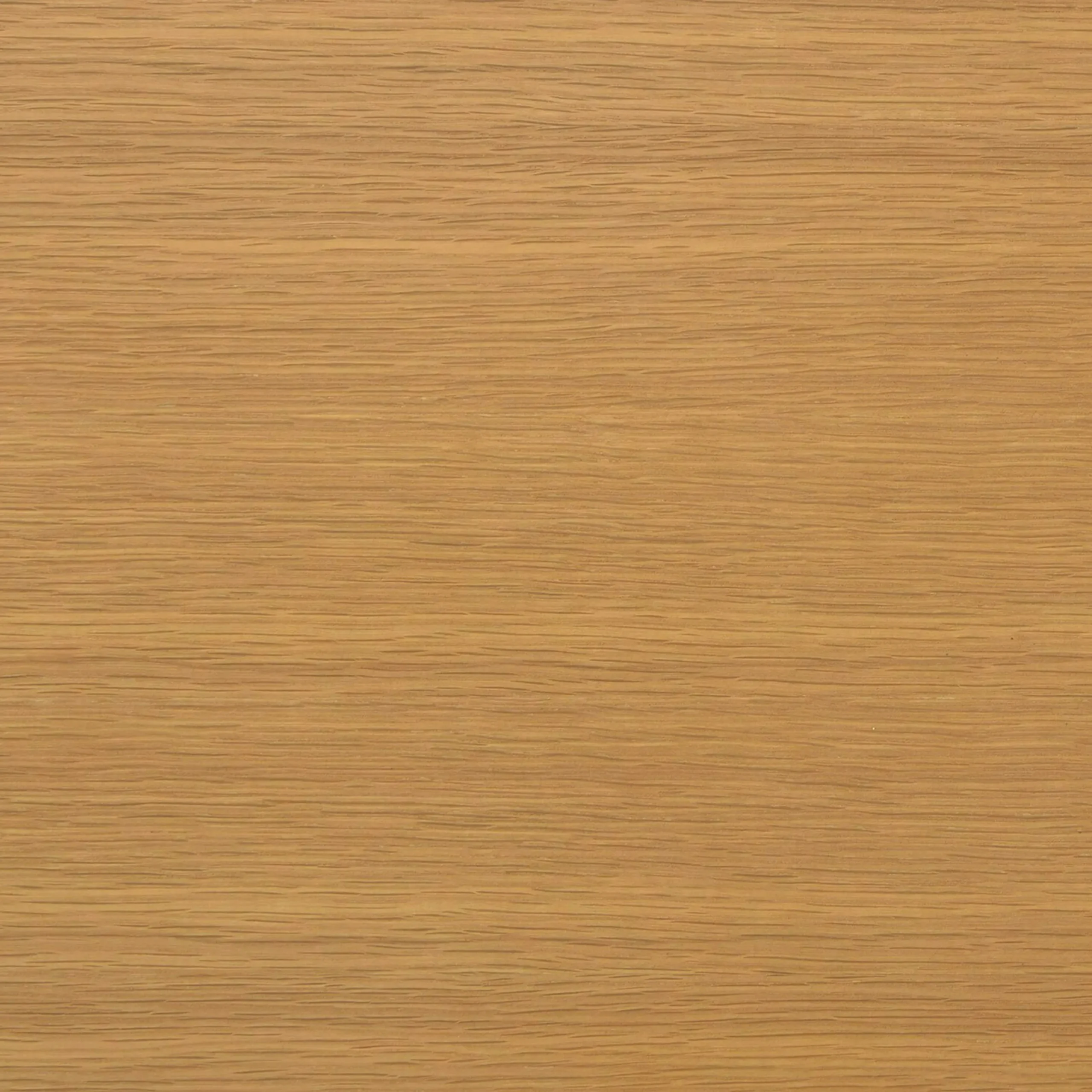 Ecole Leather Dining Chair - Oak and Toscana Tan - Image 11