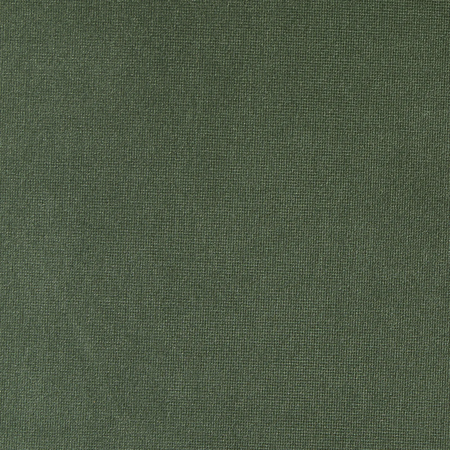 Rolph 55.5_ Velvet Storage Bench - Plush Pacific Green - Image 11