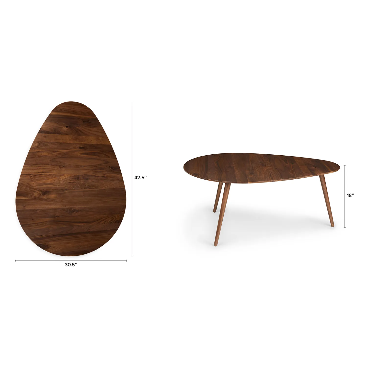 Amoeba 42.5_ Coffee Table - Walnut - Image 12