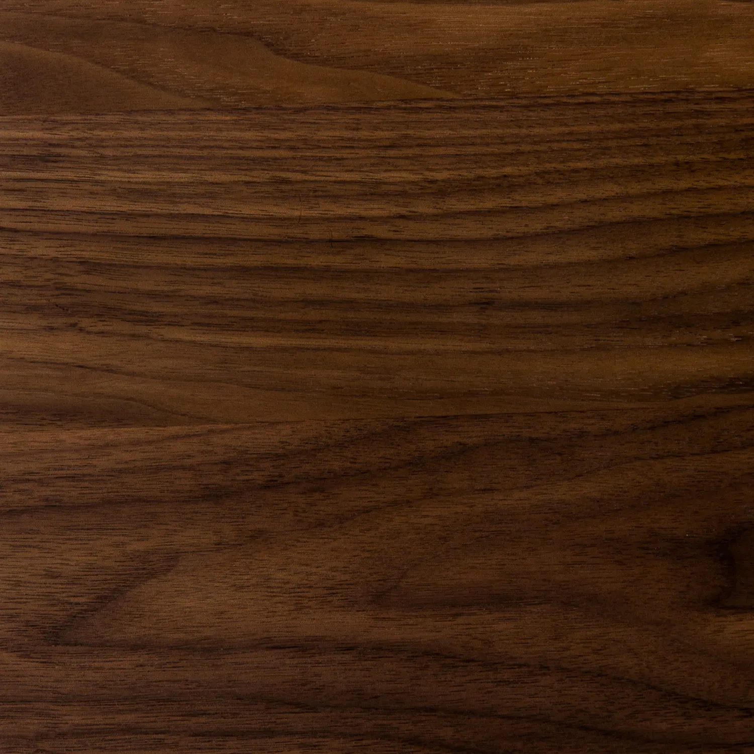 Otio 26_ Leather Lounge Chair - Walnut and Black - Image 4