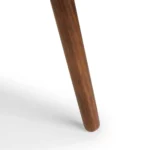 Amoeba 29.5_ Coffee Table - Walnut
