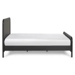 Faydra Queen Bed - Black