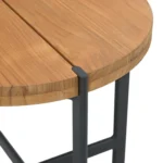 Haskel Outdoor Side Table - Shield Teak