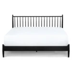 Lenia King Bed - Black