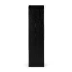 Faydra 35.5_ Enclosed Bookcase - Black
