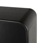 Faydra 35.5_ Enclosed Bookcase - Black
