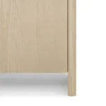 Faydra 35.5_ Enclosed Bookcase - Natural Ash
