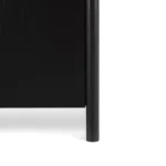 Faydra 35.5_ Enclosed Bookcase - Black