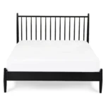 Lenia Queen Bed - Black