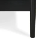 Lenia Queen Bed - Black