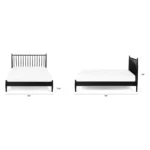 Lenia Queen Bed - Black