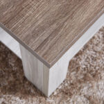 Angelic Coffee Table