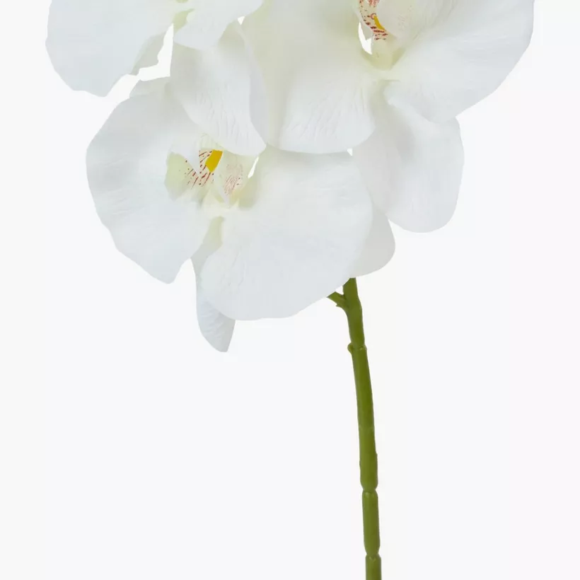 Orchid Decorative Flower Stick - Image 2