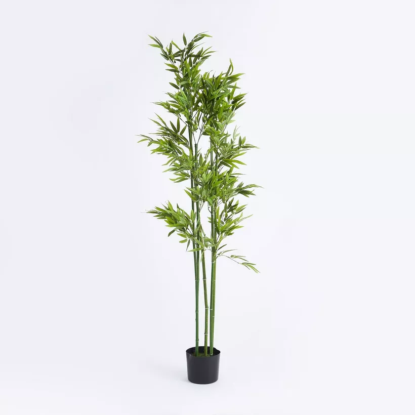 Teodora Artificial Bamboo Tree - 155 cm - Image 2