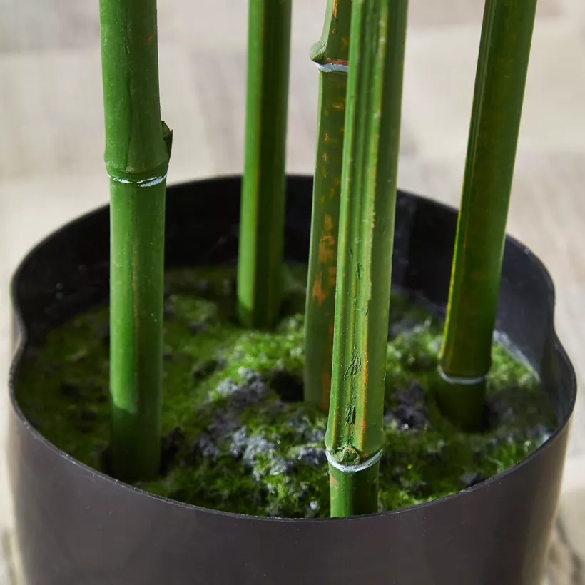 Teodora Artificial Bamboo Tree - 155 cm - Image 4