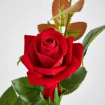 Aria 3-Heads Velvet Rose Stem - 76 cm