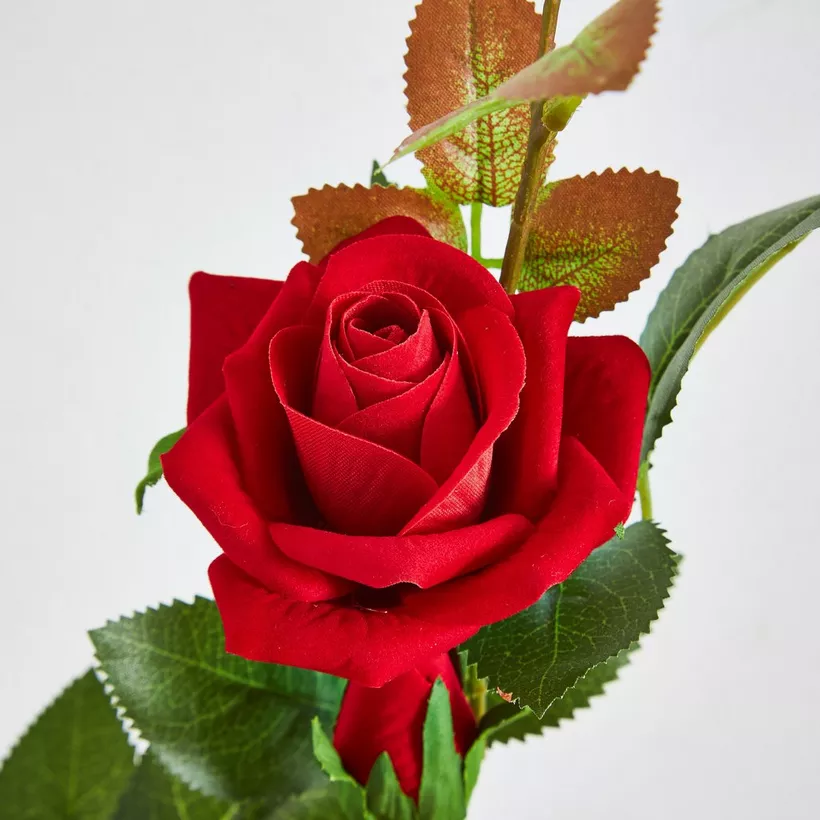 Aria 3-Heads Velvet Rose Stem - 76 cm - Image 3