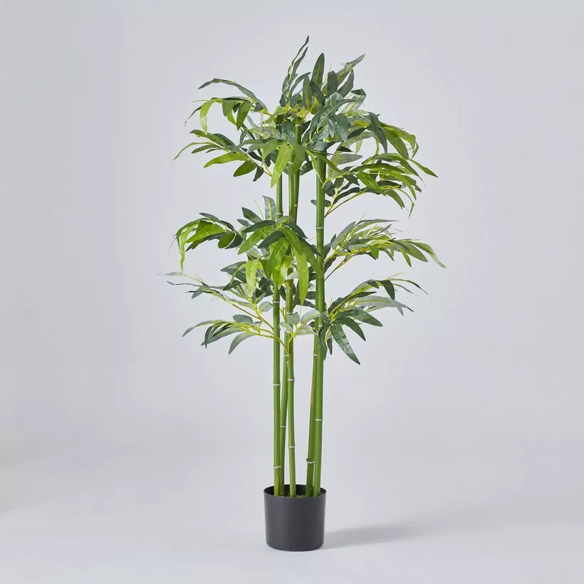 Teodora Bamboo Tree - 120 cm - Image 2