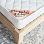 SleepEase iMagna Lux High Resilience Foam Bonnell Spring Single Mattress - 90x190x22 cm