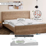 SleepEase iMagna Lux High Resilience Foam Bonnell Spring Queen Mattress - 160x200x22 cm