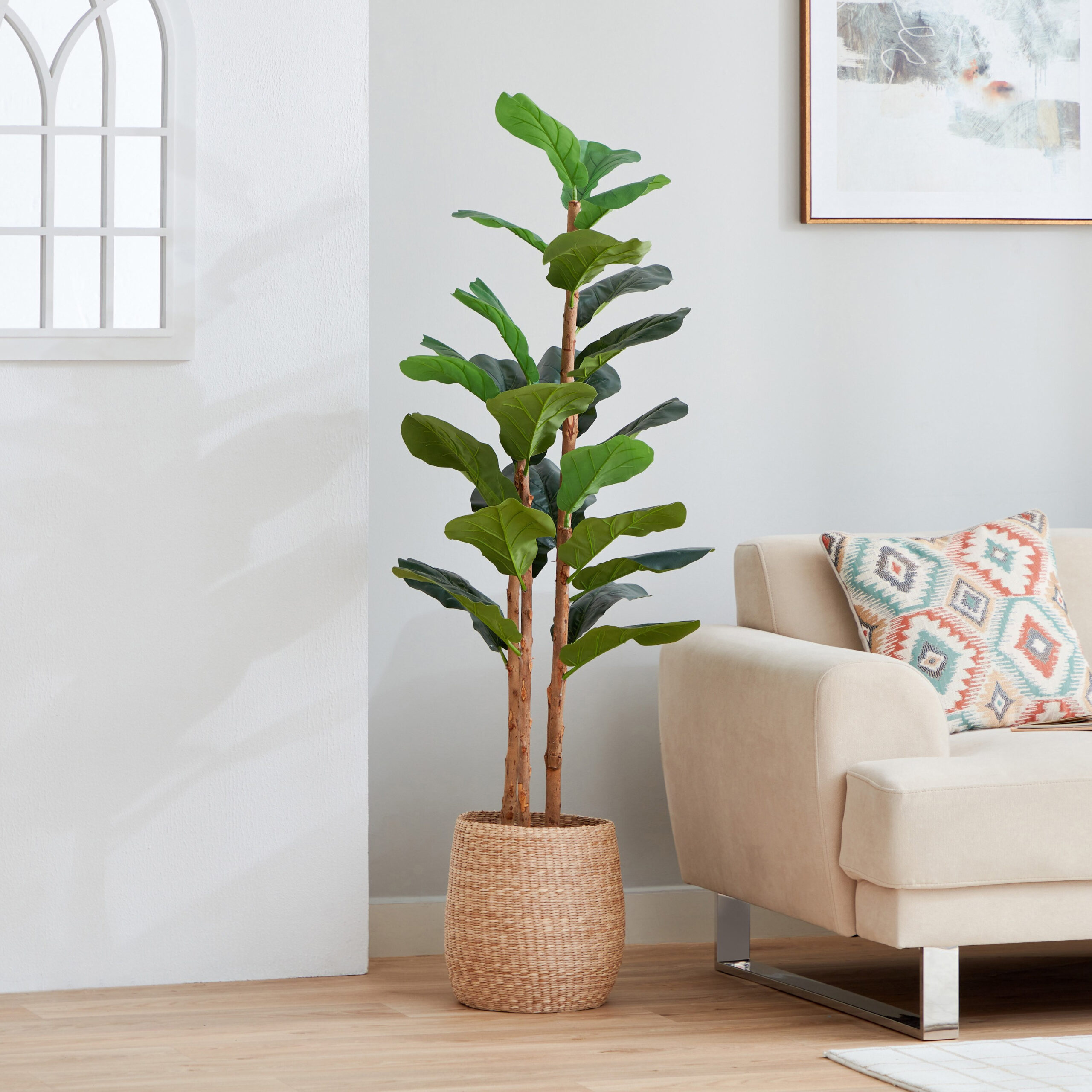 Teodora Fiddle Tree - 150 cm