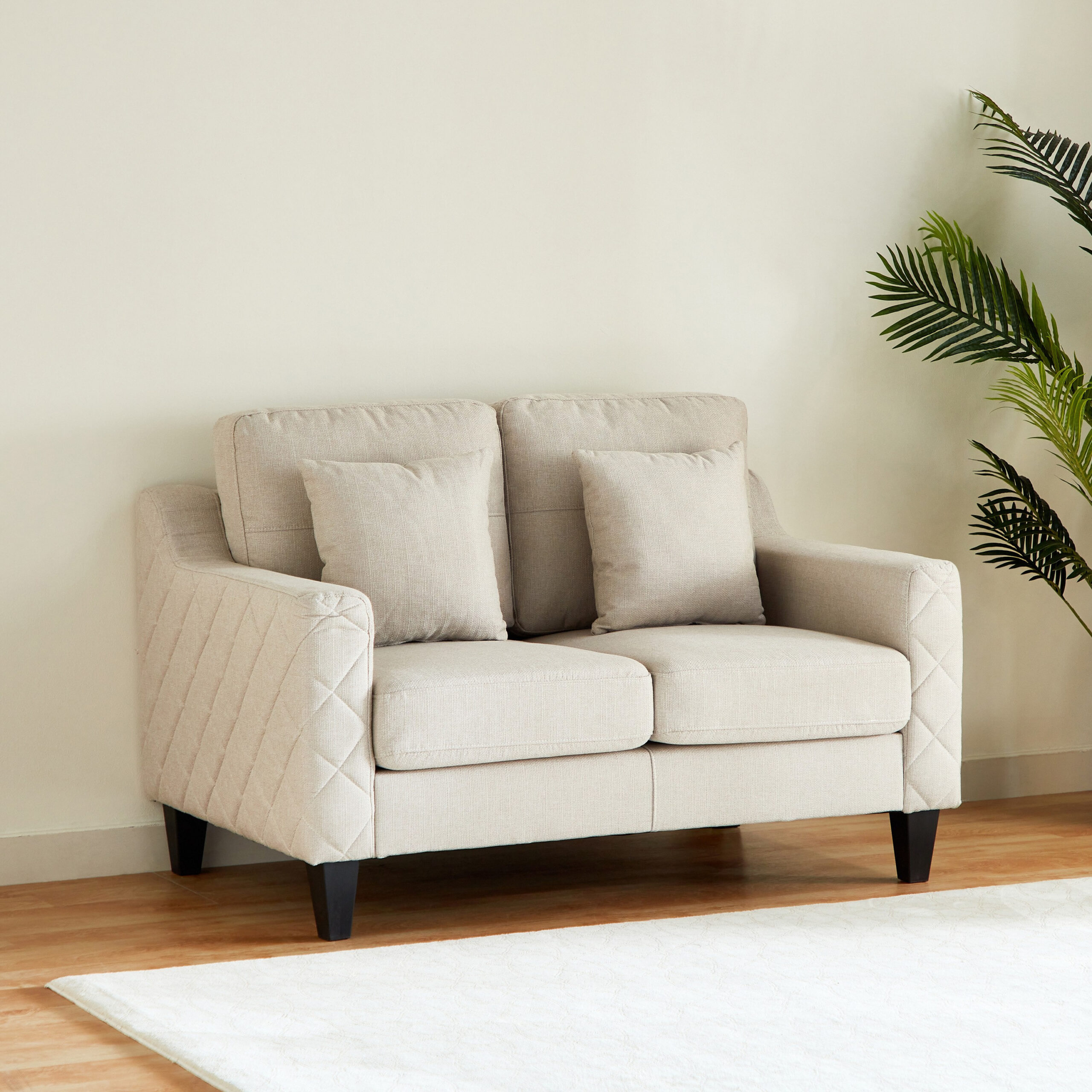 Sky 2-Seater Sofa with 2 Cushions