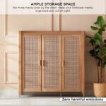 Java 26-Pair Shoe Cabinet with 3 Doors