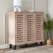 Belford 16-Pair Shoe Cabinet with 3 Doors