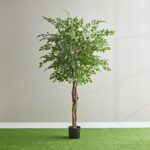 Teodora Ficus Artificial Tree - 210 cm