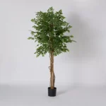 Teodora Ficus Artificial Tree - 210 cm