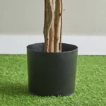 Teodora Ficus Artificial Tree - 210 cm