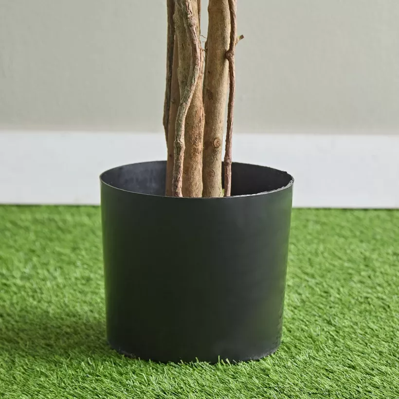 Teodora Ficus Artificial Tree - 210 cm - Image 4