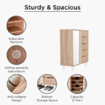Alford 12-Pair Shoe Cabinet with 2 Doors