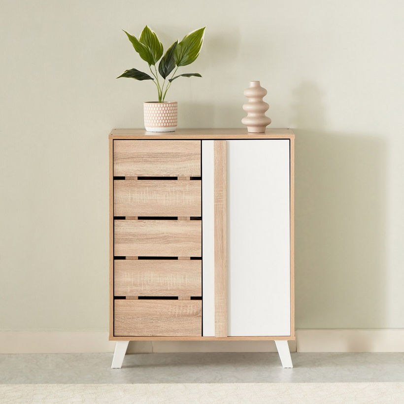 Alford 12-Pair Shoe Cabinet with 2 Doors - Image 4