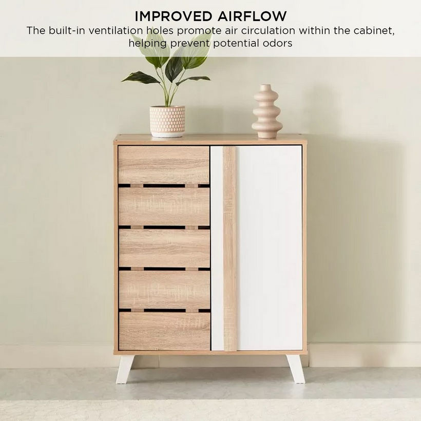 Alford 12-Pair Shoe Cabinet with 2 Doors - Image 7