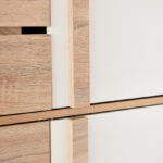 Alford 24-Pair Tall Shoe Cabinet with 4 Doors