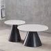Calamus 2-Piece Sintered Stone Coffee Table Set