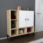 Modulix Ohio 2-Door Multipurpose/Shoe Cabinet - 15 Pairs