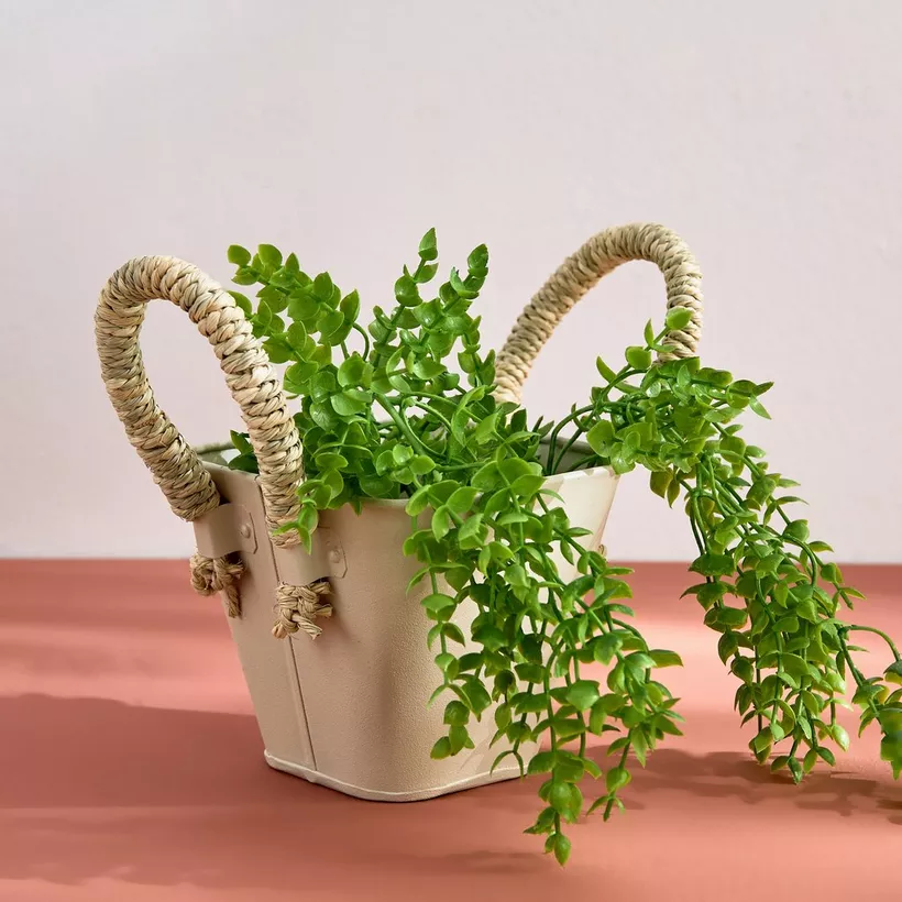 Bella Metal Taca Plant Basket with Sabai Handle - 13x13x11 cm - Image 5