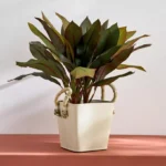Bella Metal Taca Plant Basket with Sabai Handle - 20x20x19 cm