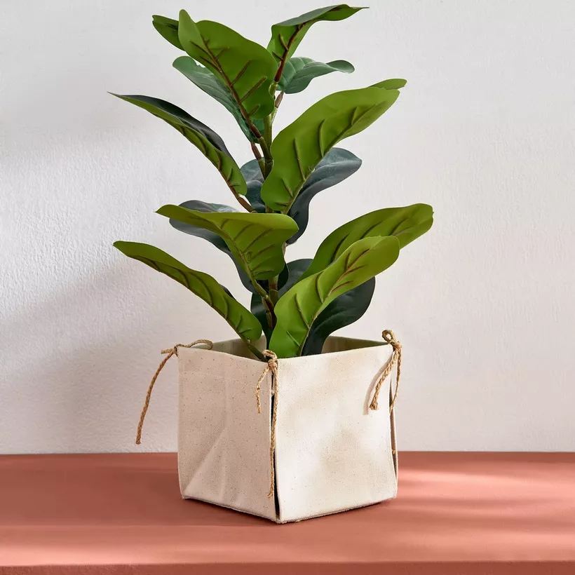 Bella Canvas Square Box Planter with Raffia Strings - 15x15 x15 cm - Image 2