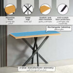 Rylee Console Table with Metal Legs